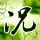 奋斗